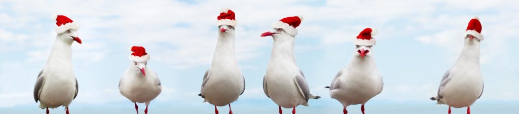 ‘Tis the season for giving… but what can you claim back