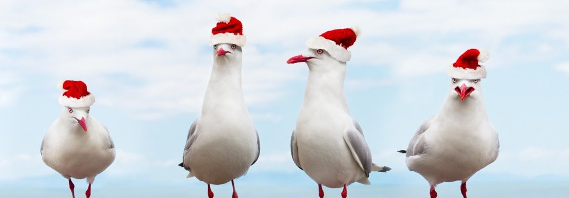 'Tis the season for giving... but what can you claim back