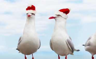 'Tis the season for giving... but what can you claim back