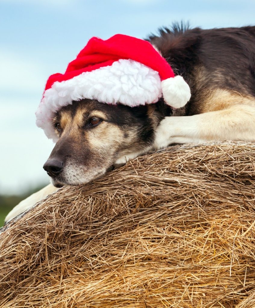 The do’s and don’ts of holiday sale specials